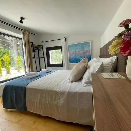 Damari Luxury Retreat Villas Skiathos * Moni Evaggelistrias