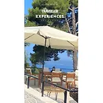 Damari Luxury 3 Bedroom With Private Pool, Skiathos Villa